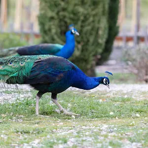Ca'novae - Tuscany Montieri